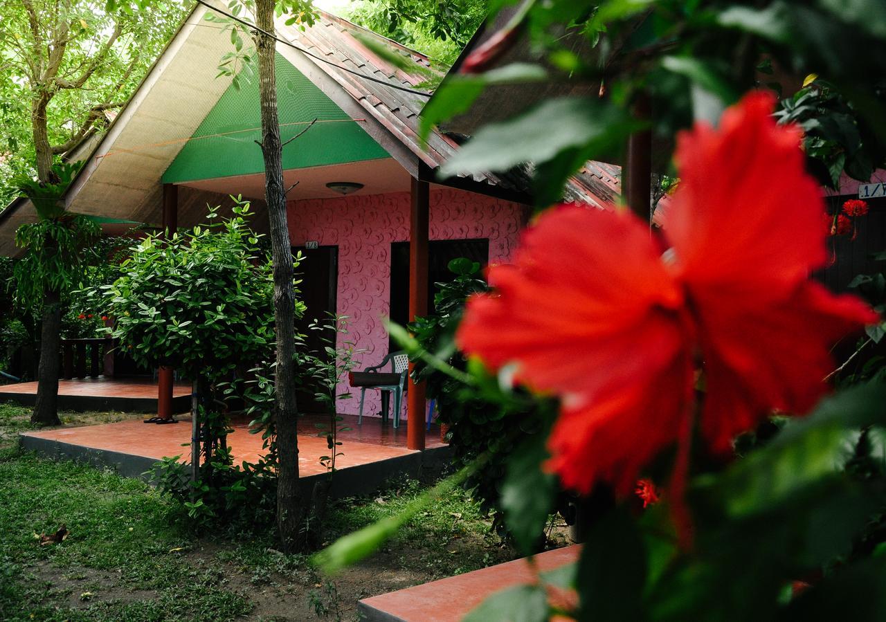 האד רין Coral Bungalows מראה חיצוני תמונה